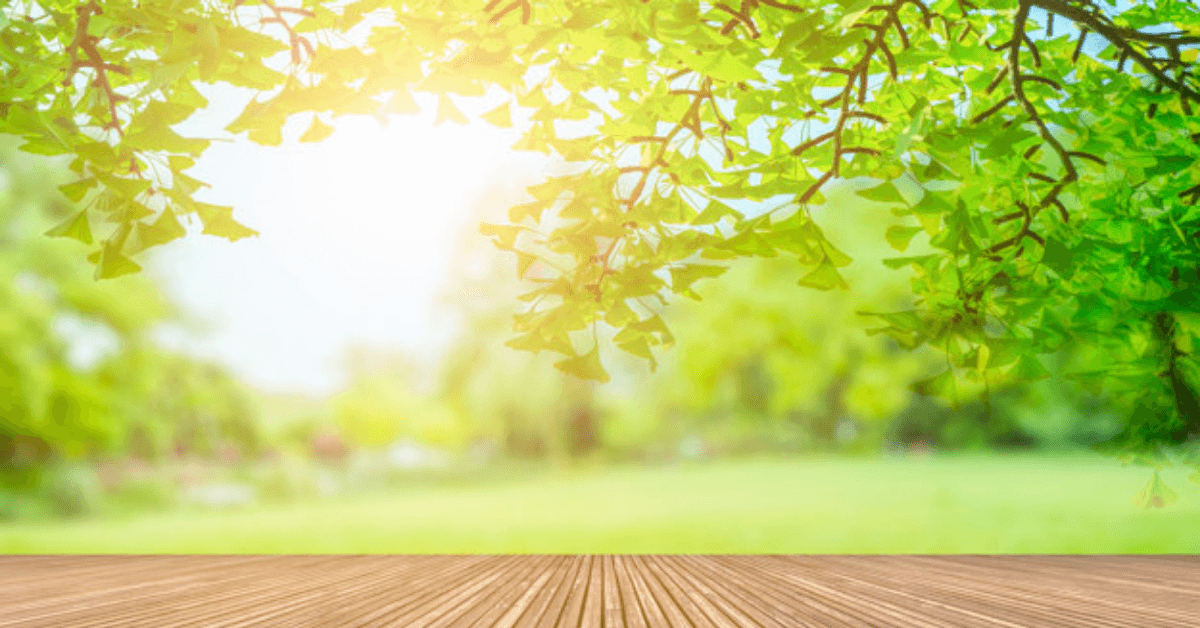 5 Tips to Connect With the Nature in This Busy World