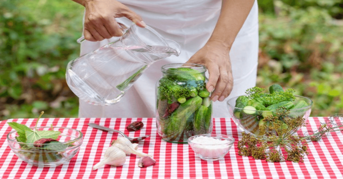 Kitchen Water Conservation – The Nutritious Way