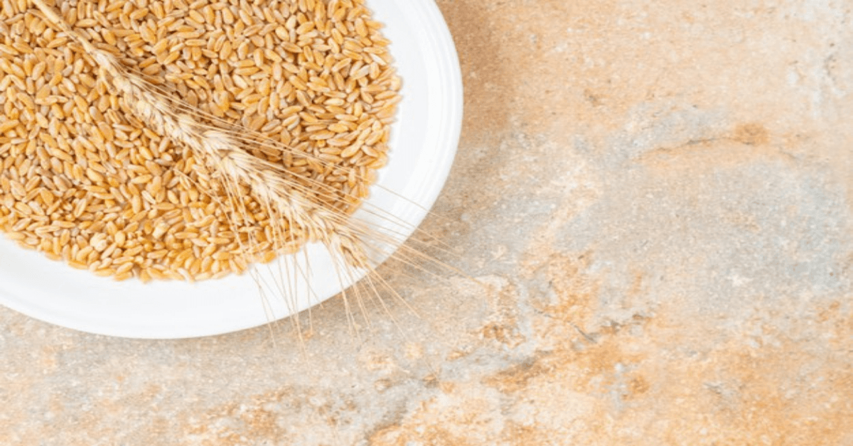 Food Made From Wheat